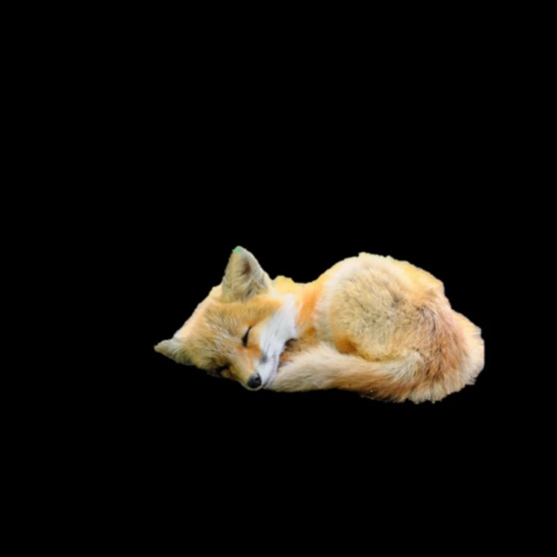 Fuchs