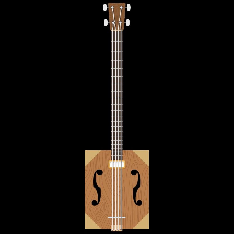 Cigar Box Guitar