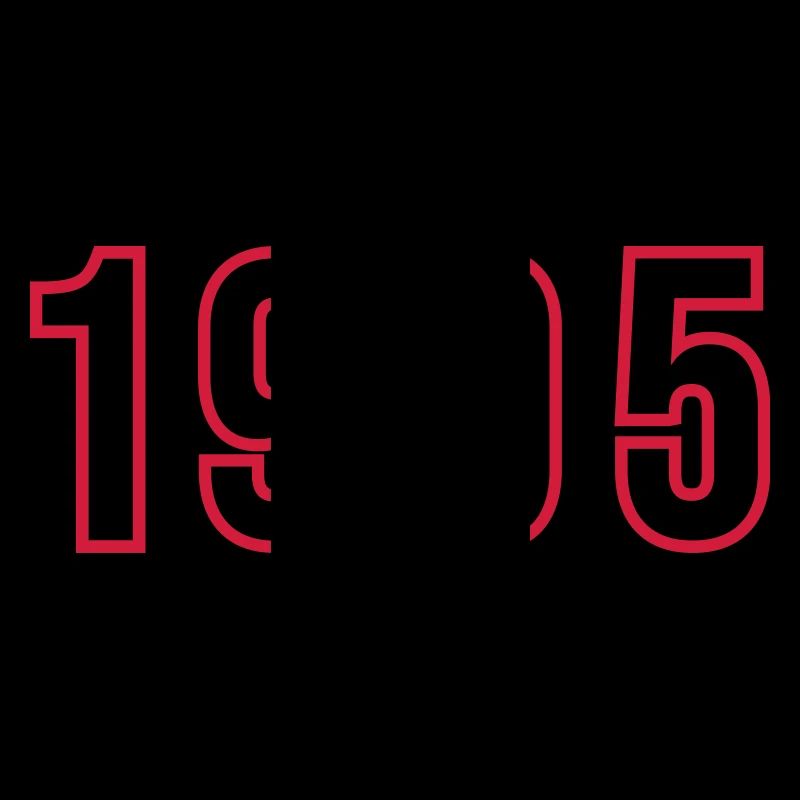 1995 Year Number