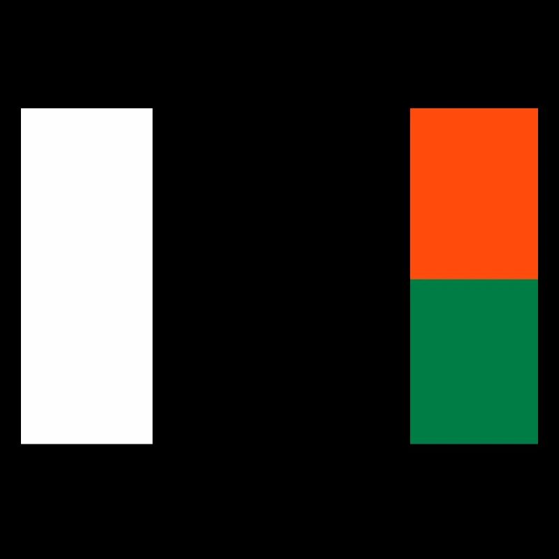Drapeau Madagascar