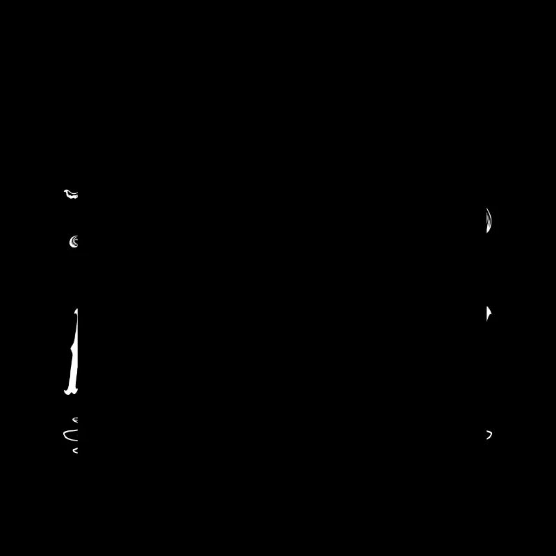 2019 | Januar 2019 Geburtstag Perfekt gealtert