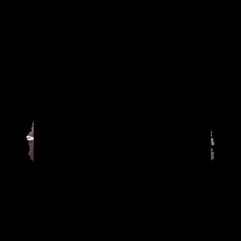 Bako the grumpy bear