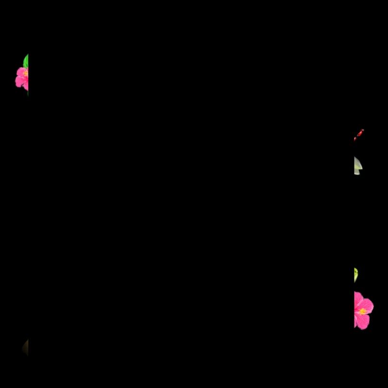 The Green Python snake on the tree with flowers