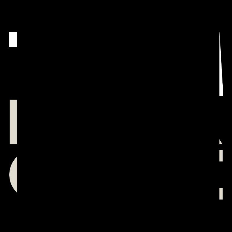 Hund Border Collie