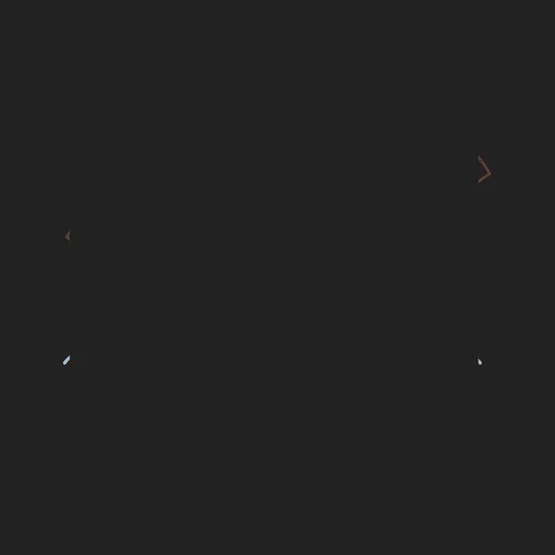 Apprentice Mason Chainsaw Carpenter