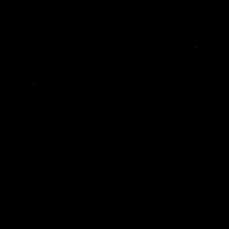 Panda Gitarre