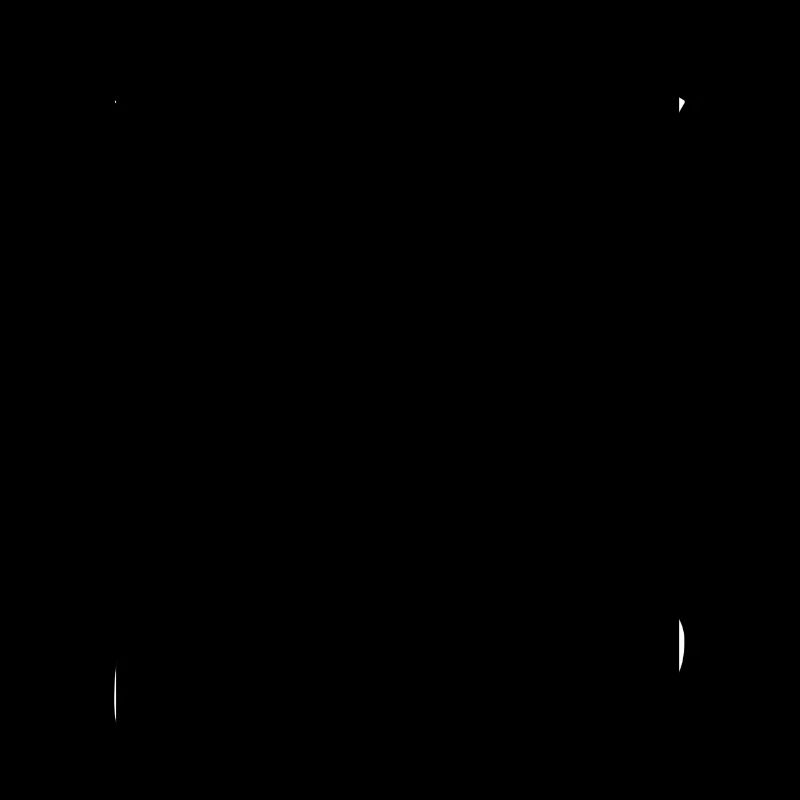 Erdmännchen