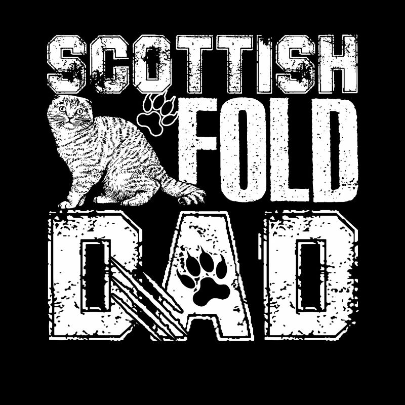 Scottish Fold Cat Scottish Fold Cat Dad
