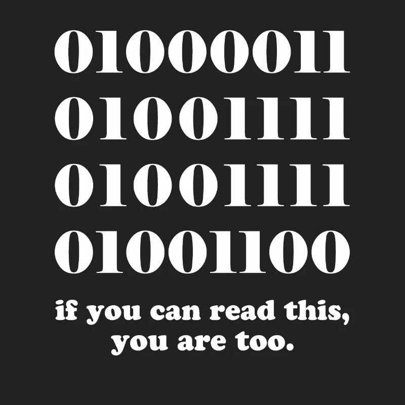 Computer binary code developers gift