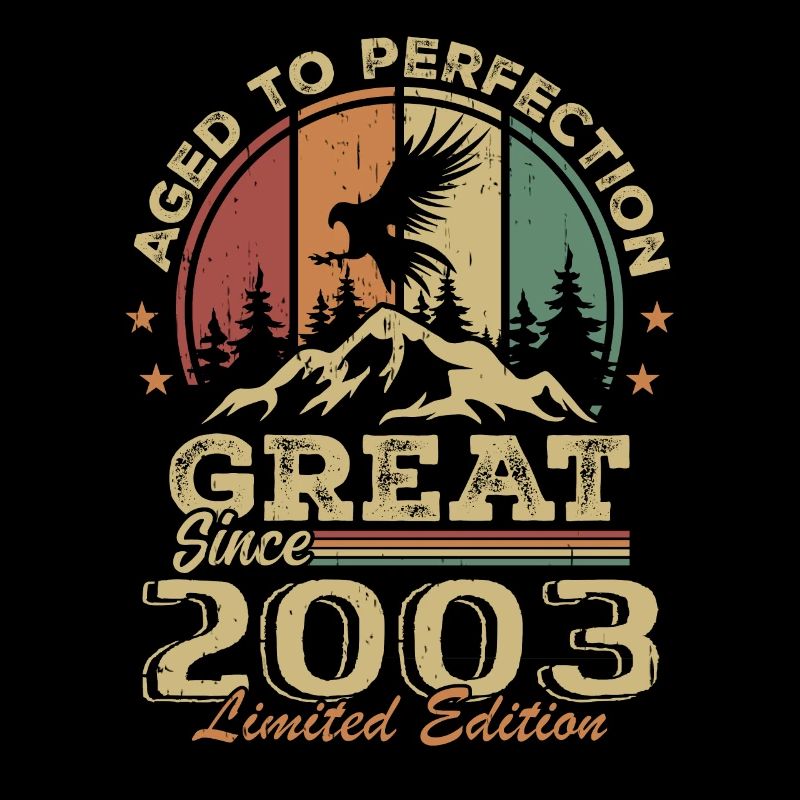 Vintage Geburtstag 2003 - Retro Geschenkidee 2003