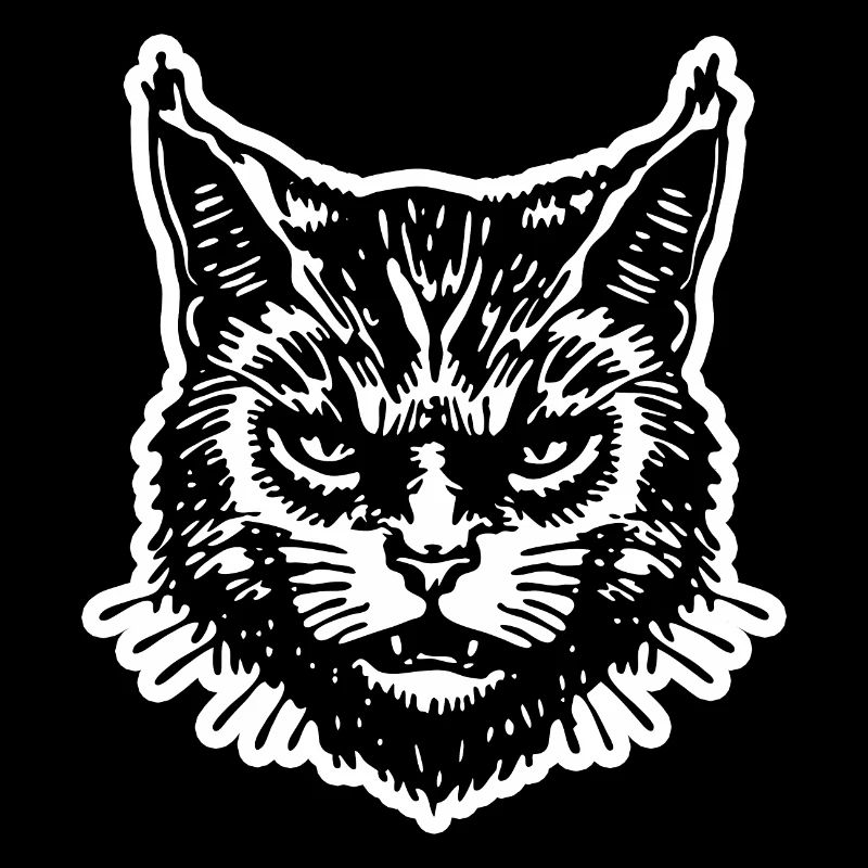 Chat Chats Chat Dame Chat Amoureux Chat Visage