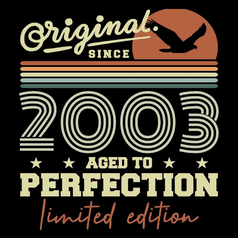 Original 2003 Retro 2003 Geburtstagsgeschenk 2003