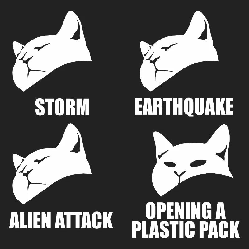 Chat - perception sélective - dire