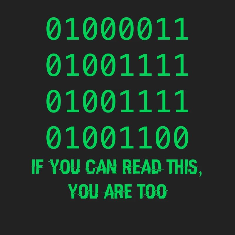 Computer Binary Code Developers Gift