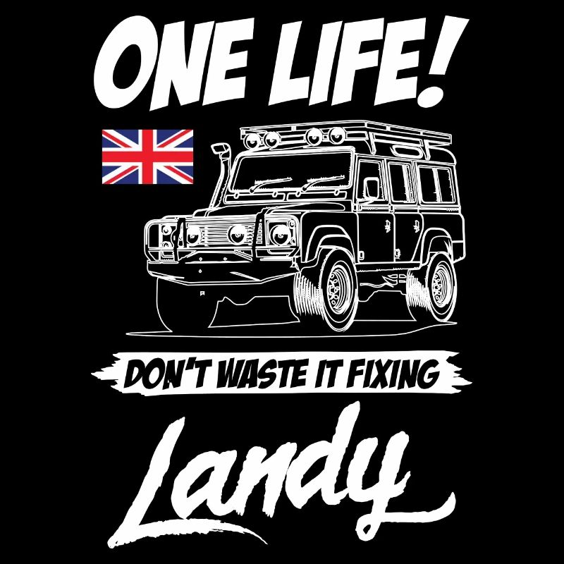 Dont Waste It Fixing Landy
