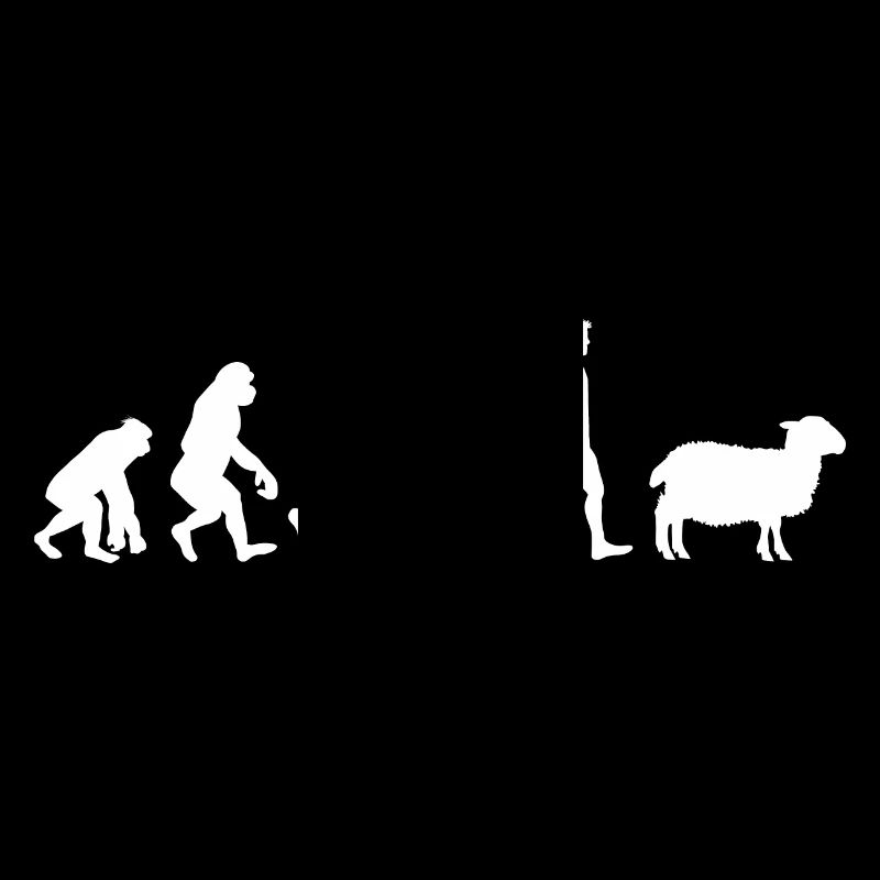 Evolution mouton