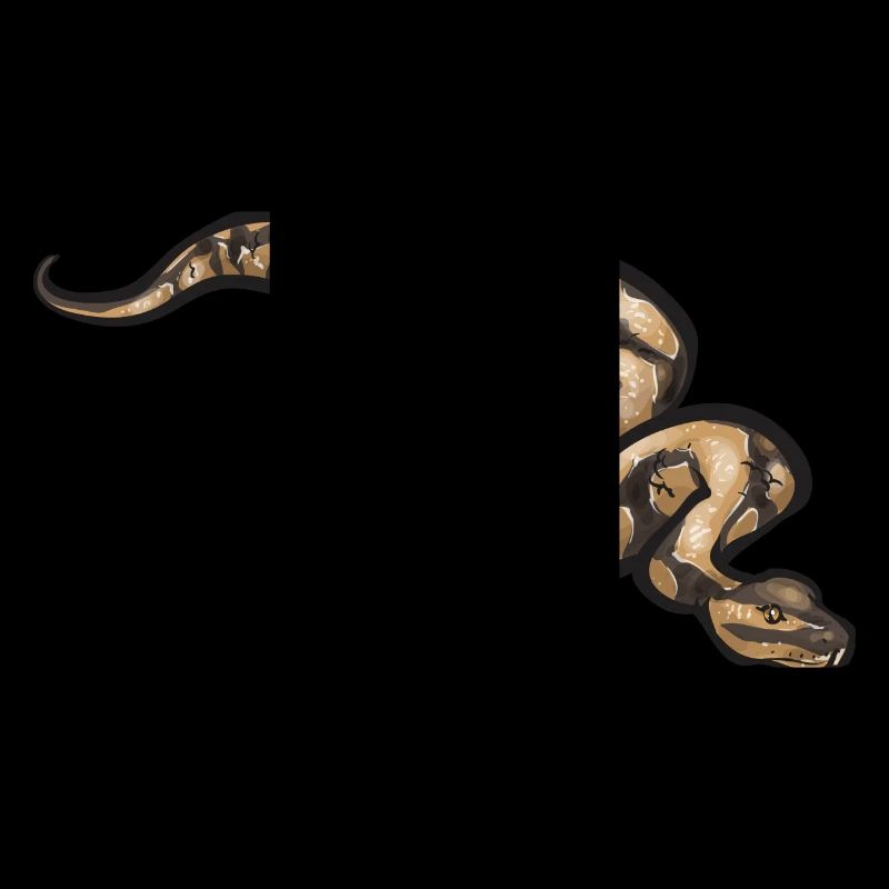 Ball Python Snake King Python