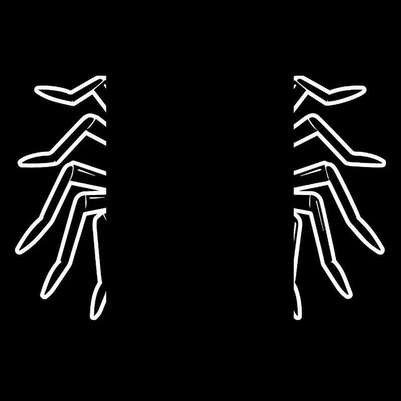 Araignée araignées animaux