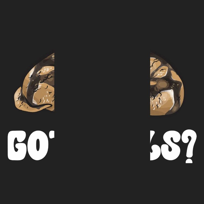 Ball Python Schlange Königspython