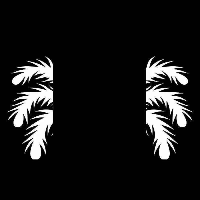 araignée