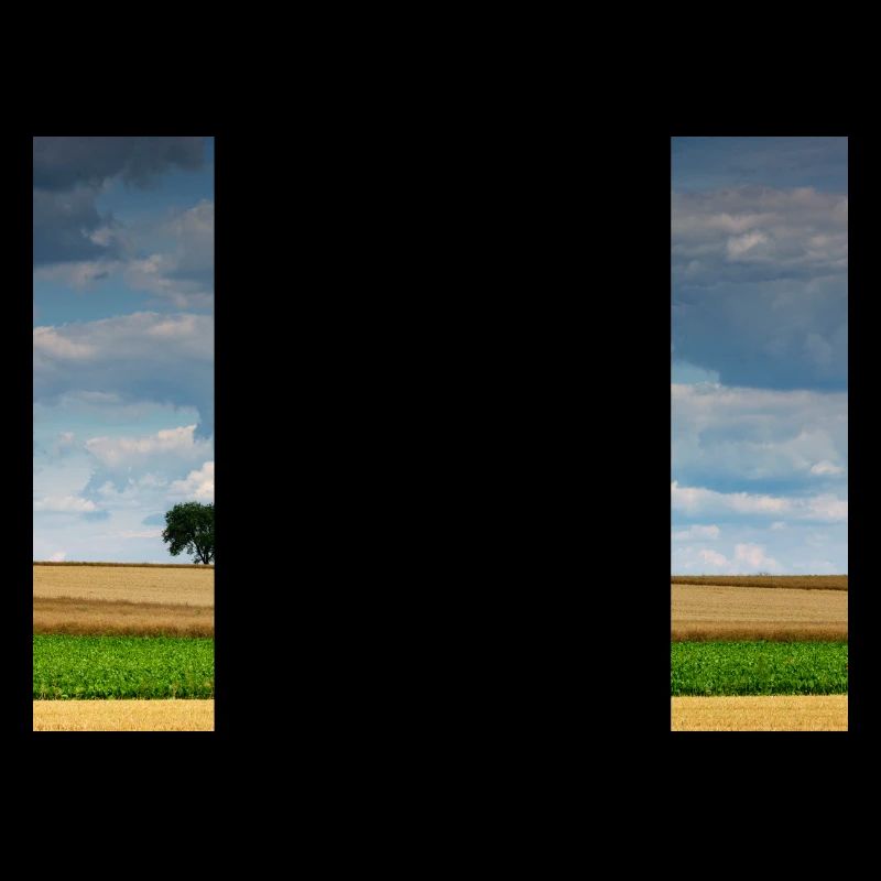 Weitblick