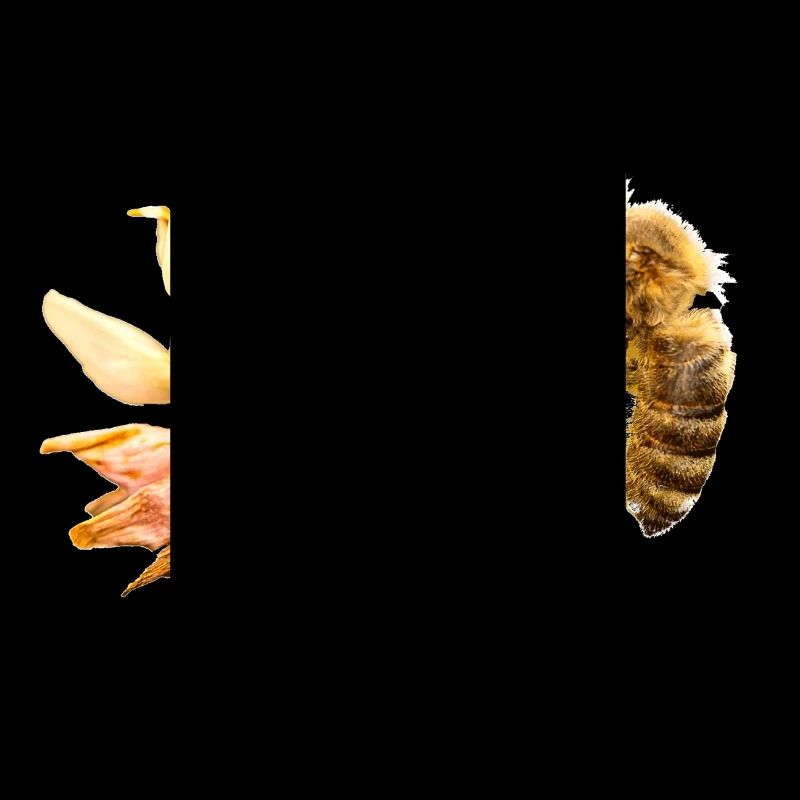 Honigbiene auf einer Blüte, A733151