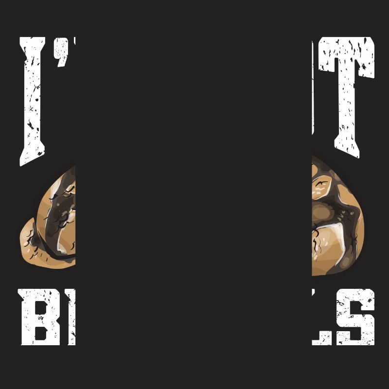 Ball Python Snake King Python