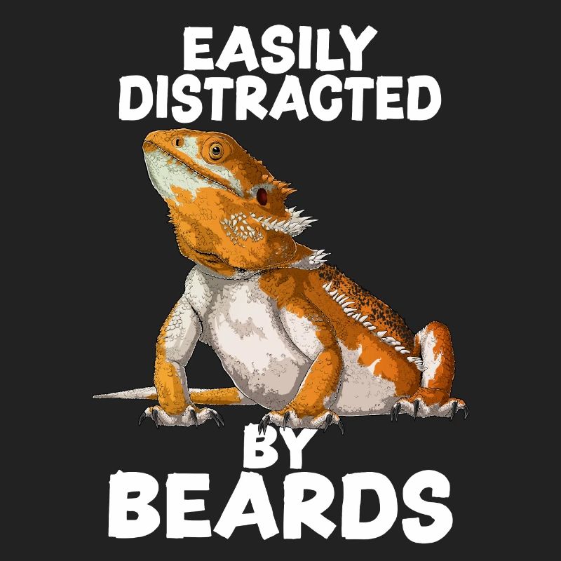 Bearded Dragon Easily Distracted By Beards