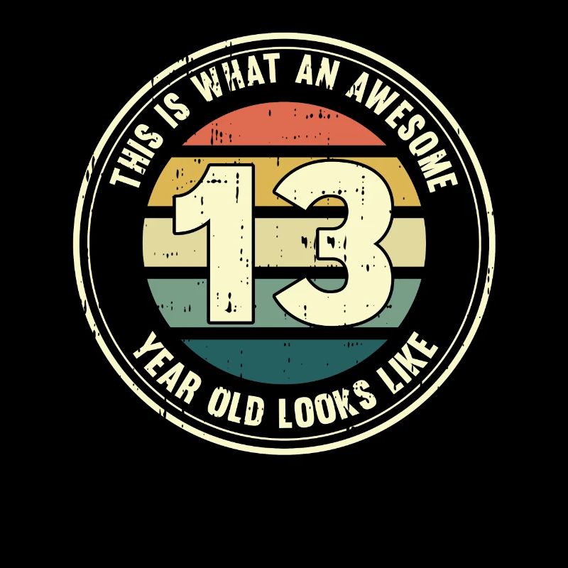 13. Geburtstag so sieht man mit 13 Retro Geschenk