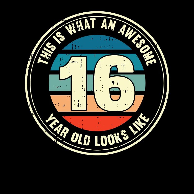 16. Geburtstag so sieht man mit 16 Retro Geschenk
