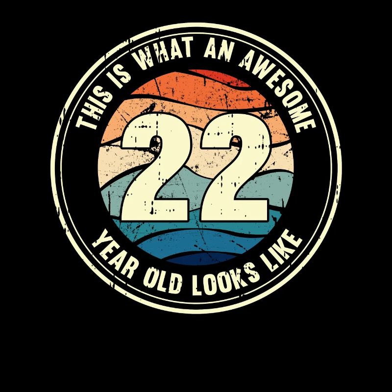 22. Geburtstag so sieht man mit 22 Retro Geschenk