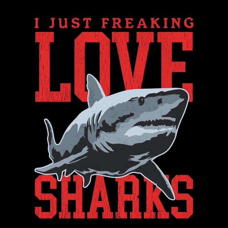 Requins Requins Grand Requin Blanc Cadeau de Requin