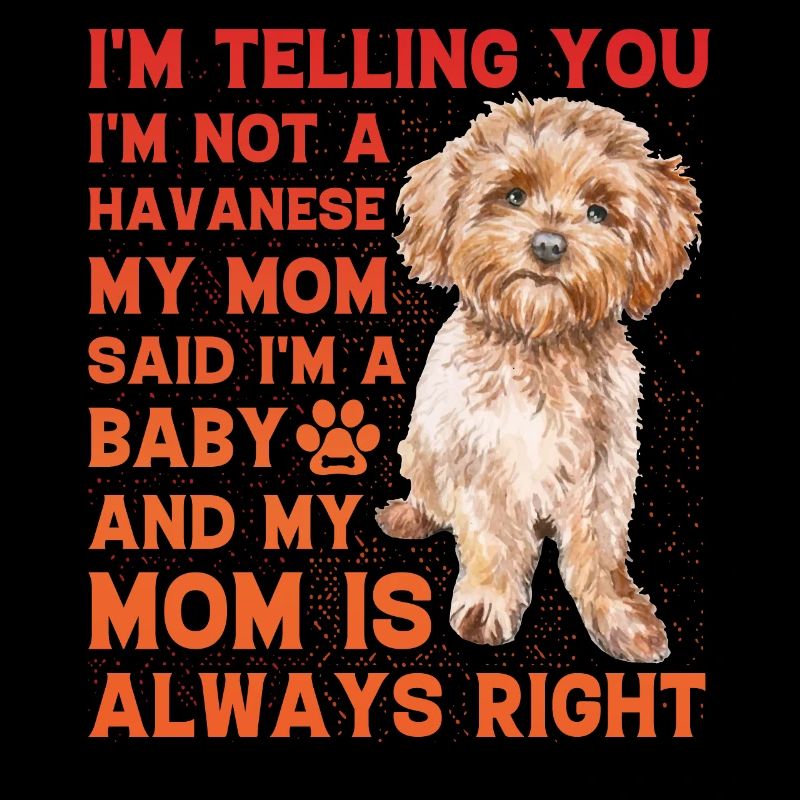 Havanese Funny Saying