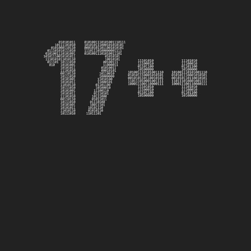 17++ Programmierer Developer Coder 18. Geburtstag