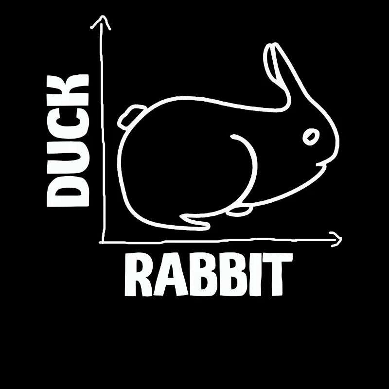 Wittgensteins Rabbit Duck Illusion