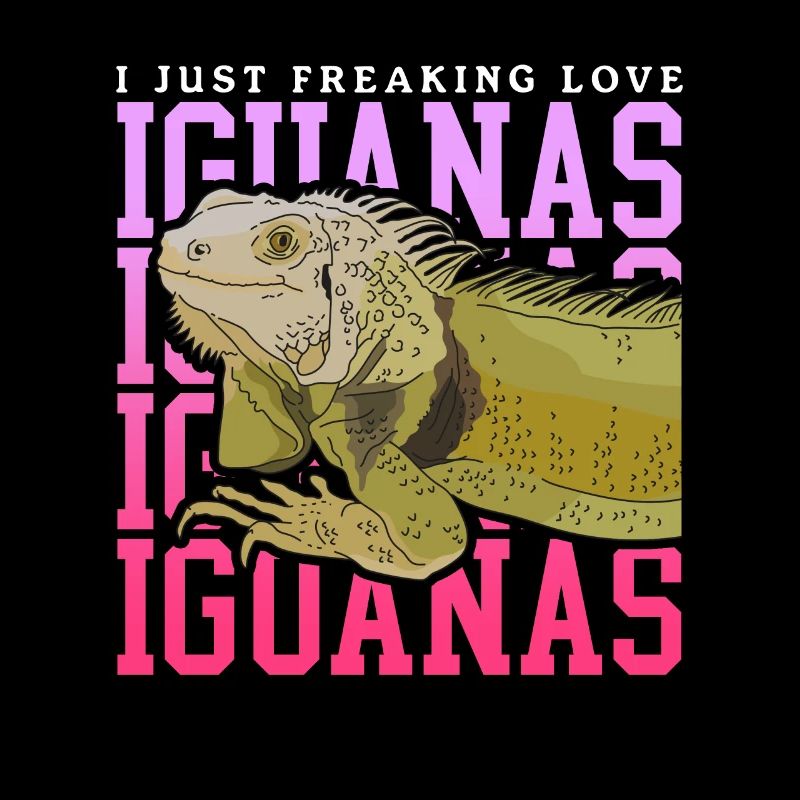 Iguana Lizard Reptile Iguanas Gift