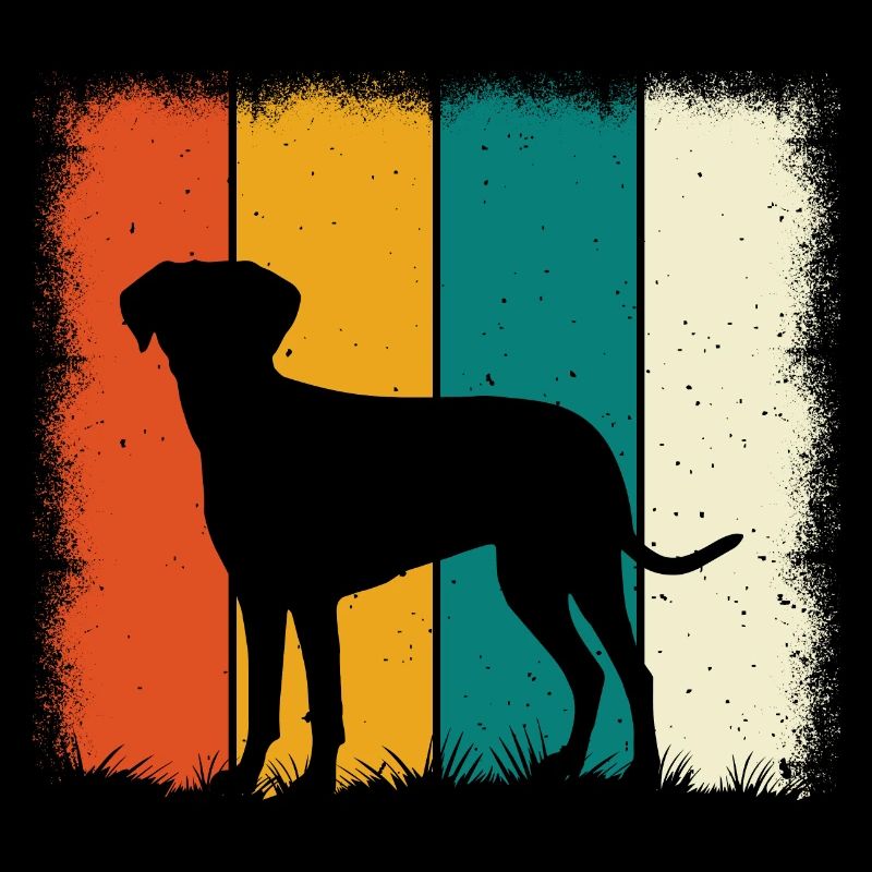 Labrador Retro