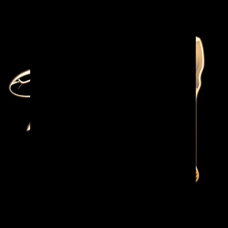 Abeille douce avec nectar spécial: bière