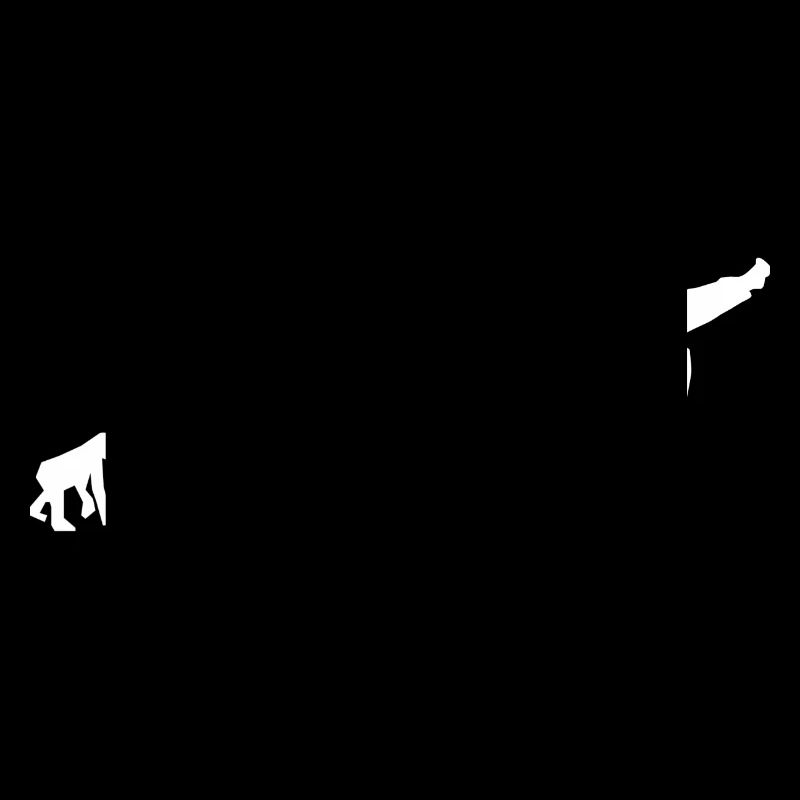 Art martiaux évolution