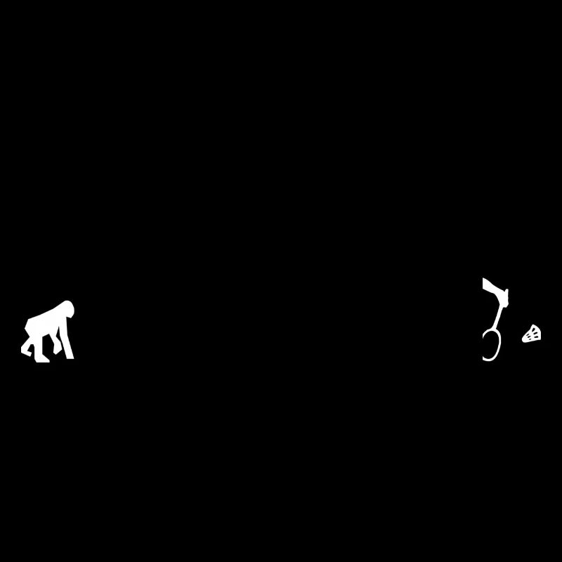 Badminton évolution