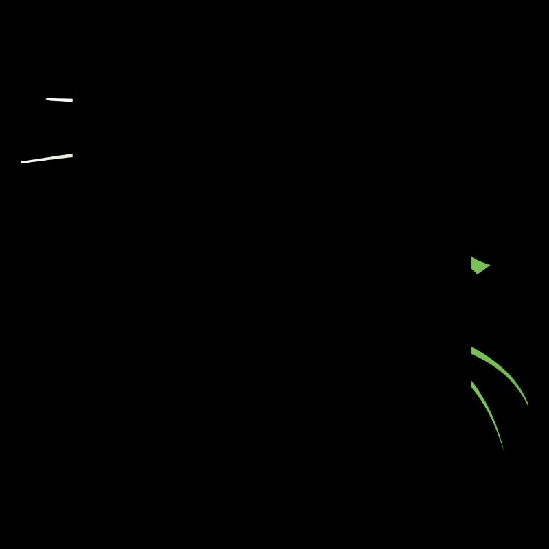 Kali Linux Dragon