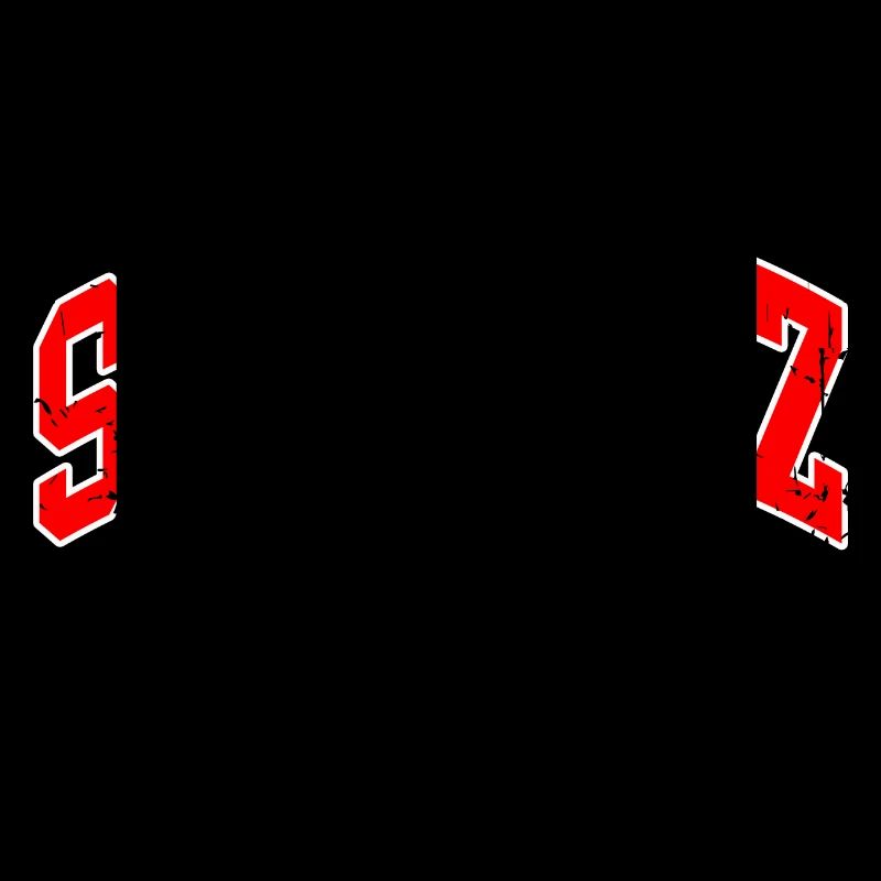 Schweiz Flagge