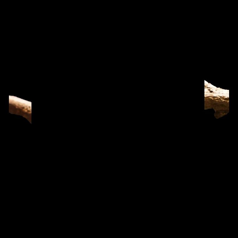 Der Baumpyton kann bis zu vier Meter lang werden