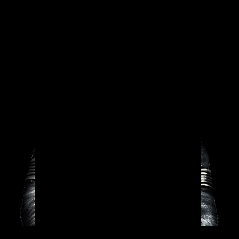 Singe astronaute de l’espace