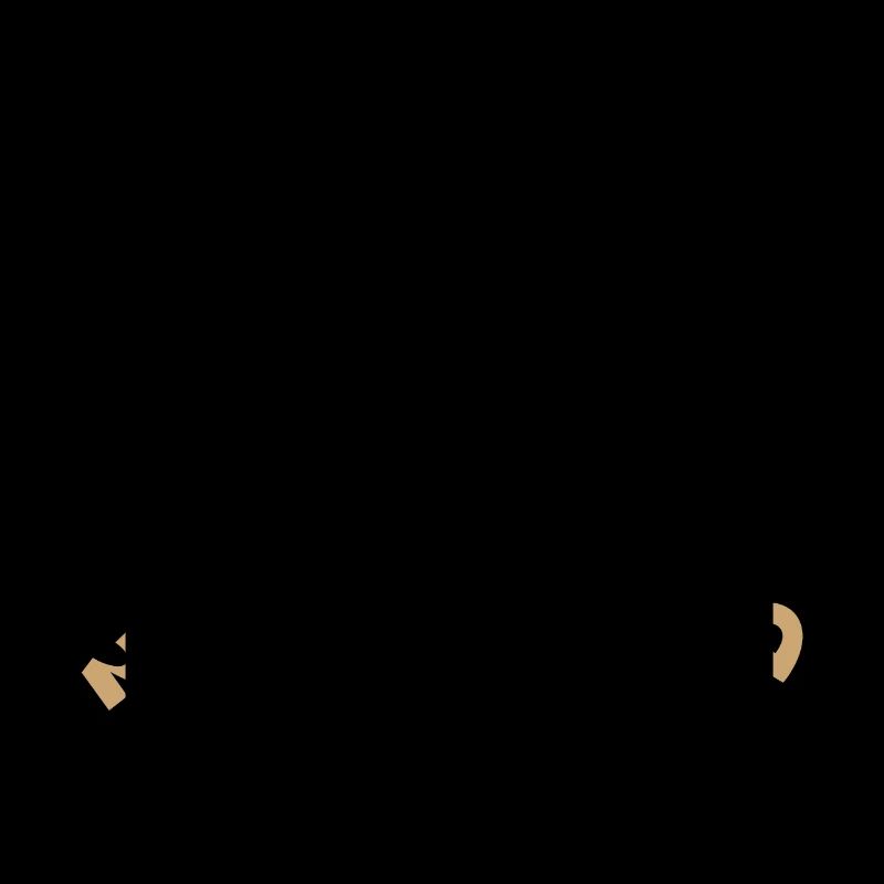 Nice gift for the lazy husband for example