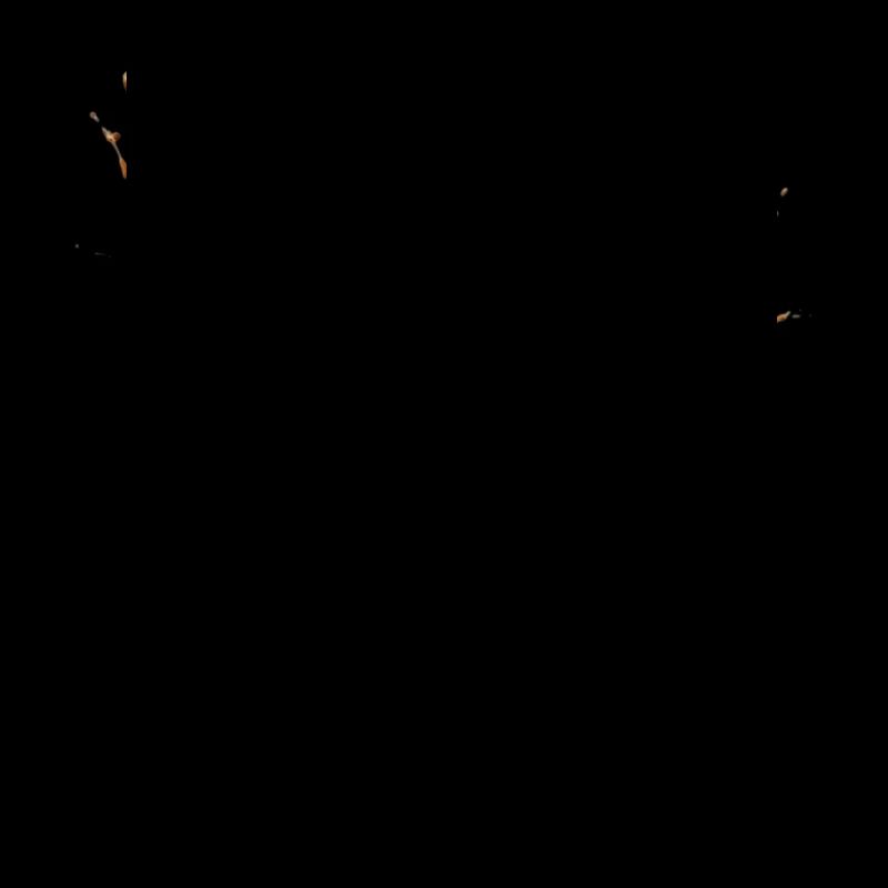 Skull Beer Explosion