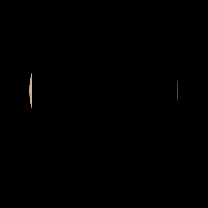 DALMATINER