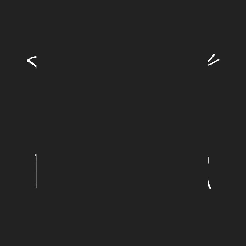 Der tut nix der will nur coden - Programmierer