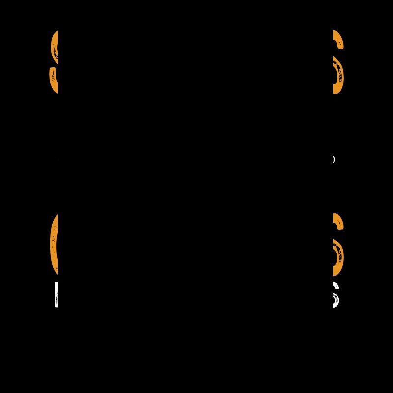 Modèle d’avion télécommandé
