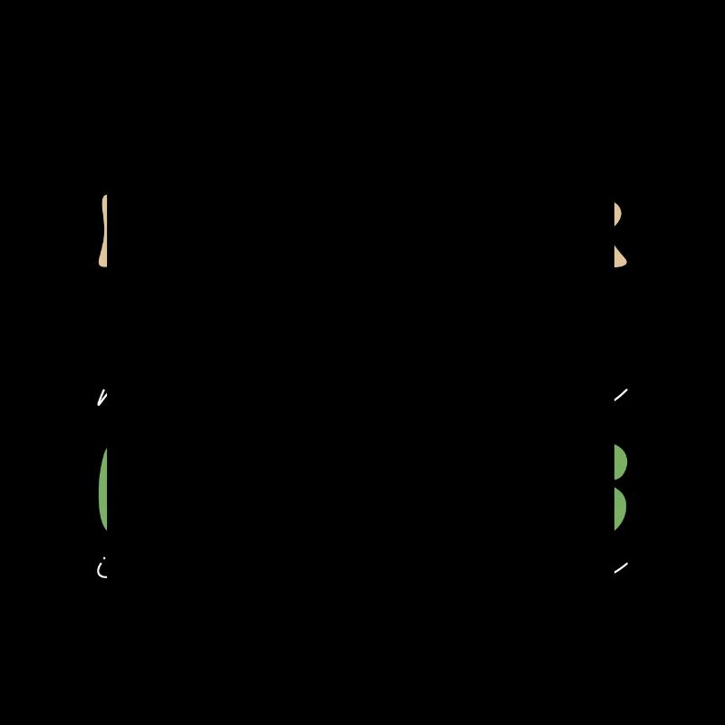 Professeur d’anglais langue seconde langue étrangère